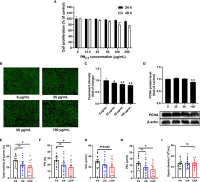 Analysis by Metabolomics and Transcriptomics for the Energy Metabolism Disorder and the Aryl Hydrocarbon Receptor Activation in Male Reproduction of Mice and GC-2spd Cells Exposed to PM2.5